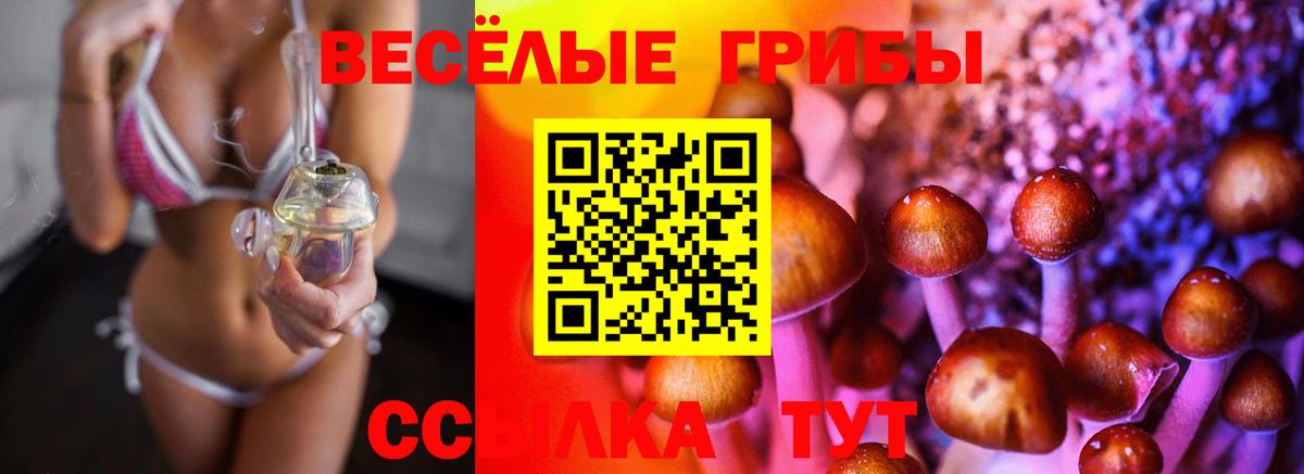 Псилоцибиновые грибы GOLDEN TEACHER Симферополь